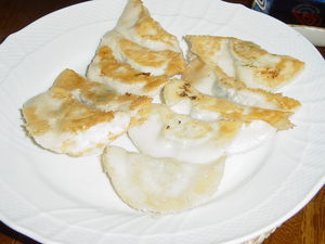20060321tetsunabetenpeifu.jpg