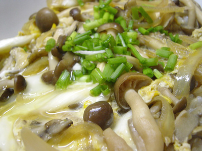 20060401kinokodon.jpg