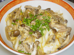20060401kinokodon02.jpg