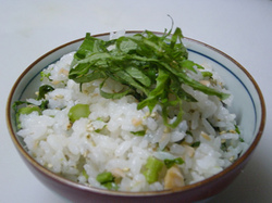 20060412shakenameshi02.jpg