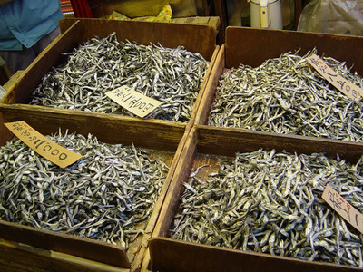 20060423niboshi.jpg