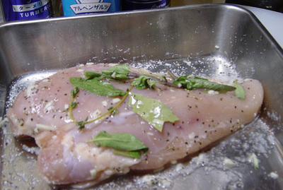 20060427torihammon.jpg