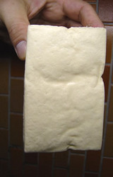 20060508katadoufu.jpg
