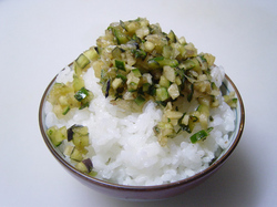 20060511dassygohan.jpg