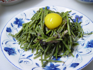 20060521kinome02.jpg