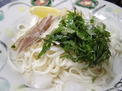 20060708n-nampularudon.jpg