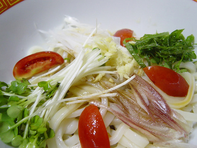 20060713n-ryoumiudon.jpg