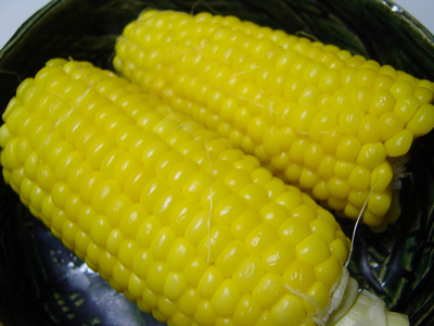 20060719toumorokoshi.jpg