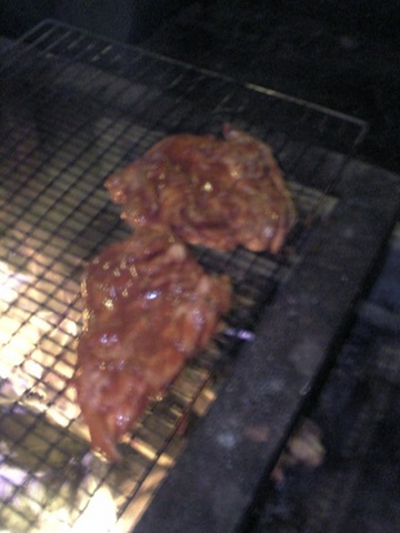 20060805jarkchicken.jpg