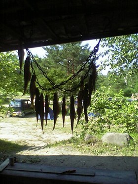 20060805smokeiwanayamame.jpg