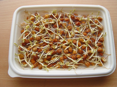 20060825chana.jpg