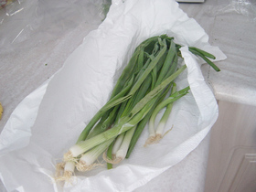 20060911tabulehesharotte.jpg
