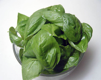 20061001basil.jpg