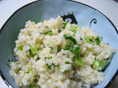 20061119daikonnameshi.jpg