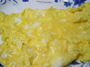 20061126omelet02.jpg