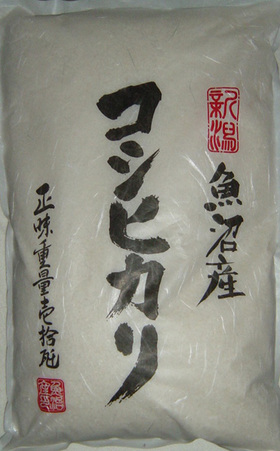 20061130koshihikari.jpg