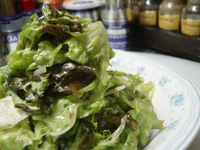 20061205hanryufusalada.jpg