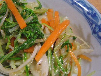 20070401mizunasalada.jpg
