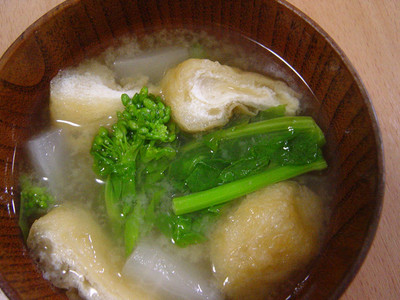 20070419s-nanohanamiso.jpg