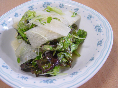 20070422sl-daikonsunny.jpg