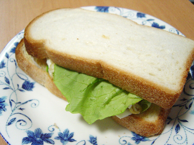 20070427eggsandwitch01.jpg