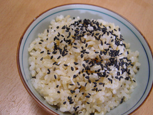 20070522gomashiogohan.jpg