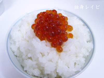20090119ikura_01.jpg
