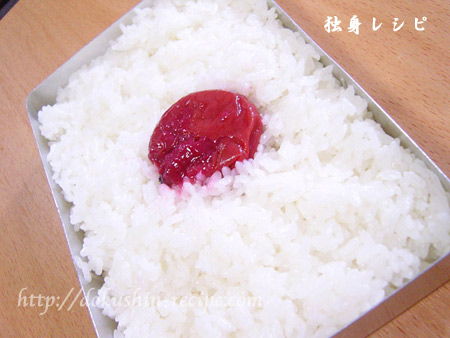20070420hinomarubentou02.jpg