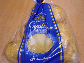 20070610cynthia01.jpg