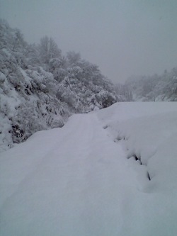 snowroad.jpg